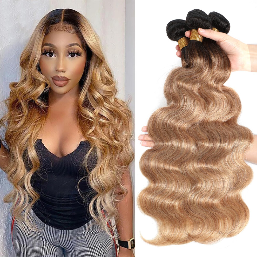 Royal Impression Unisex 12A Ombre Body Wave Bundles Human Hair (T1b/27,18" 20" 22") Ombre Human Hair Bundles 3 Bundles Human Hair 100% Unprocessed Virgin Brazilian Body Wave