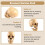 Model 1: 1 Resin Human Skull Anatomical Teaching Decoration Yellow 3