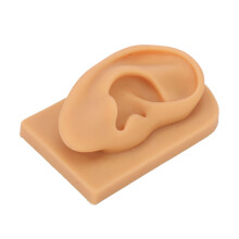 Outil pédagogique : Modèle d’oreille humaine détaillé, idéal pour présenter des boucles d’oreilles et s’entraîner au piercing, pour les