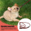 Artificial Leather Braid Dog Leash - S 7