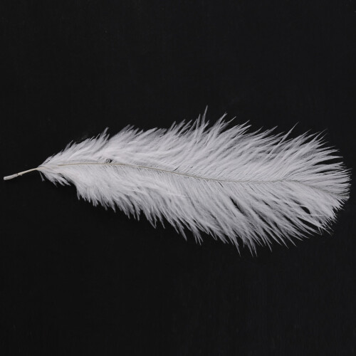 10 Pieces White Natural Ostrich Feather 20-25cm Wedding DIY 2