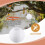 White Chinese/Japanese Paper Lantern/Lamp 8" Diameter 2