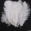 10 Pieces White Natural Ostrich Feather 20-25cm Wedding DIY 2