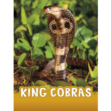 King Cobras by Jaclyn Jaycox Hardcover Book