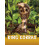 King Cobras by Jaclyn Jaycox Hardcover Book 1