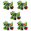 5Pcs Pull Back Dinosaur Car Toy Green Transforming Educational Play 8