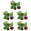 5Pcs Pull Back Dinosaur Car Toy Green Transforming Educational Play 6