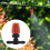 50 Pcs Three-Way Atomizing Nozzle, Adjustable Mist Nozzles, Drip Irrigation Emitters, Greenhouse Watering System 5