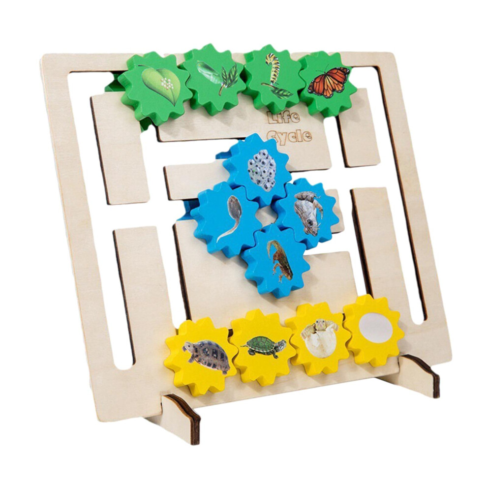 Sensory Toy Science Montessori Toy Life Cycle Board for Boys Toddlers