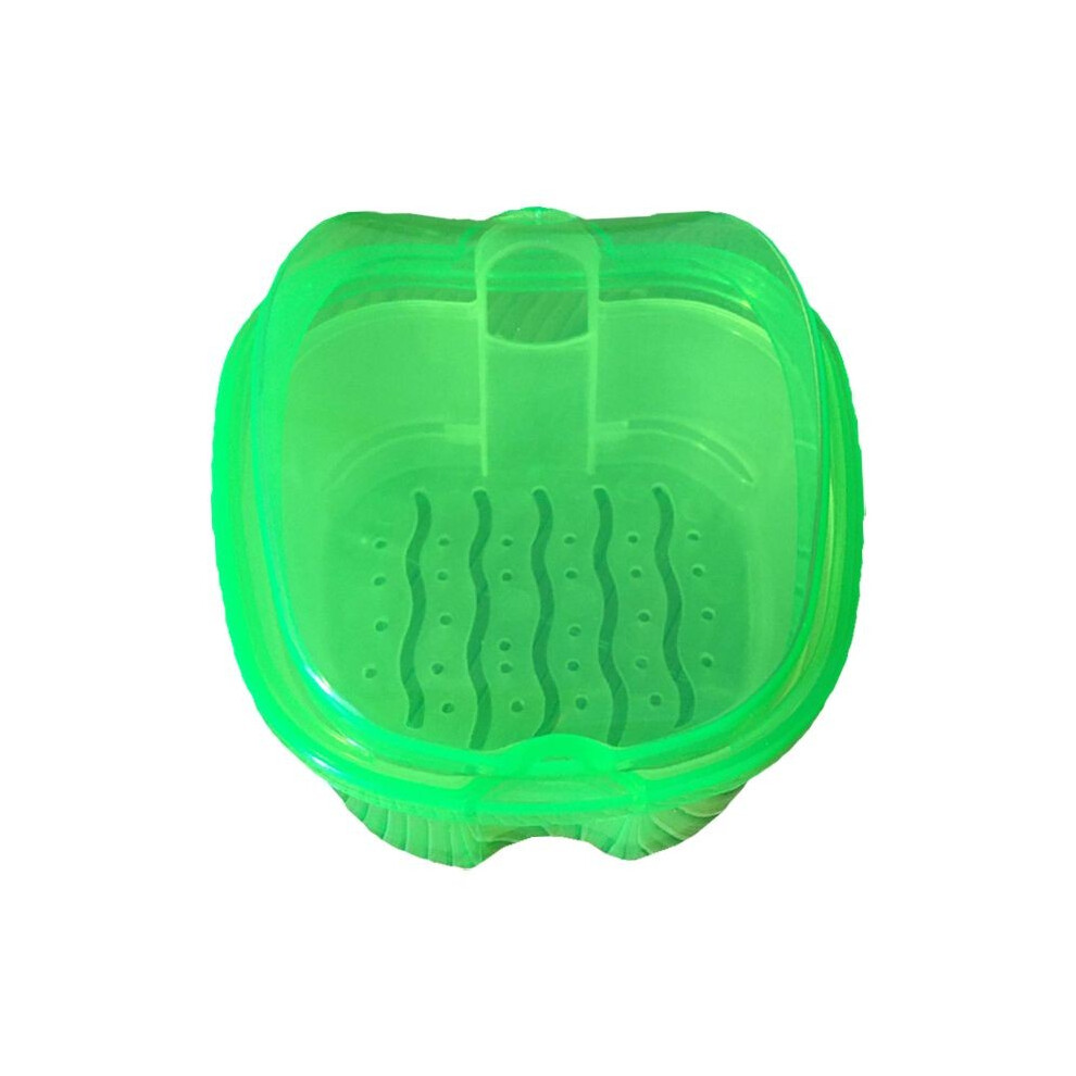 (Green) Bath Denture Box Cases Dental False Teeth Storage With Hanging Container Net