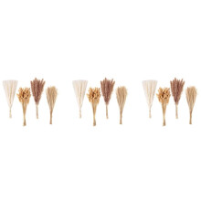 300 STUKS Gedroogd Pampas Gras Decor Pampas Gras Bunny Staarten Gedroogde Bloemen Riet Gras Boeket voor Wedding Party Boho Decor