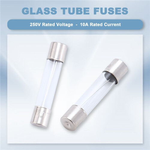 10 St Fast Blow Type GlasröR SäKringar 6X30Mm 250V 10A 1