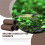 3 Pcs Brown Ceramic Shelters - Shrimp , Breeding Tube, Hiding Cave 2