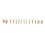 28Pcs Tooth Model 1:1 Permanent Teeth Model Dental Resin Tooth Demonstration Tooth Education Teach Study 3