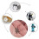 800 Pc Tiny Screws for Electronics, Small  Pan  Machine Screws Kit for Eyeglasses Watches Clocks Repair 5