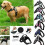 (Black,Middle)No Pull Adjustable Harness Leash Dog Pet Vest Walk Out Strap Vest Collar 16
