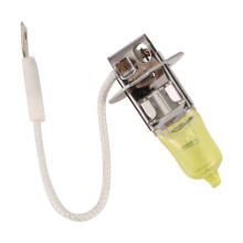 Autohalogeenlampen Voertuigmistlamp 12V H3 100W Gele Lampen