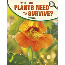 What Do Plants Need to Survive by Emily Raij Paperback Book