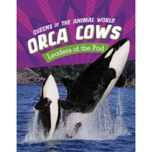 Orca Cows by Jaclyn Jaycox Hardcover Book