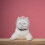 2Pcs Adjustable Transparent Cat Muzzle Bite-Proof Grooming Hood 5