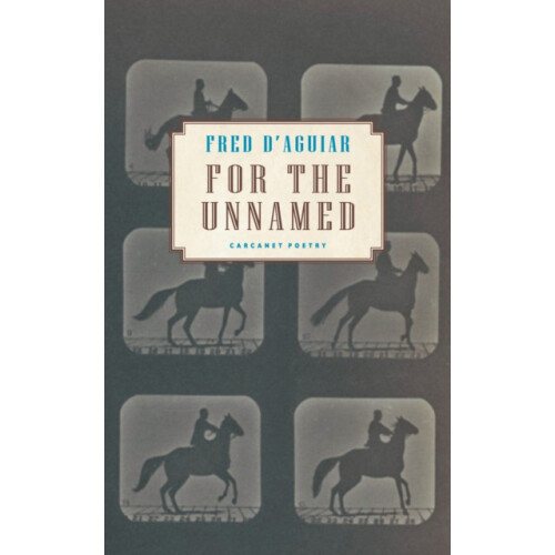 For the Unnamed by Fred DAguiar Paperback Book