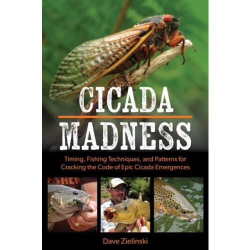 Cicada Madness by Dave Zielinski Paperback Book