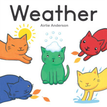 Weather by Airlie Anderson Other Book