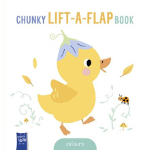 Babys Chunky LiftTheFlap Other Book