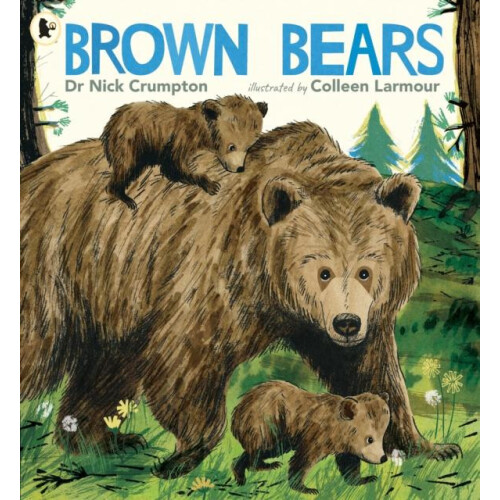 Brown Bears by Dr. Nick Crumpton Paperback Book