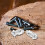 30Sets Hollow Door with Screws Durable Silver Fixing Anchors 10
