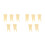10Pcs Compact Beige Resin Tooth Model Toy for Educational Use 6