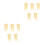 10Pcs Compact Beige Resin Tooth Model Toy for Educational Use 4