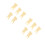 10Pcs Compact Beige Resin Tooth Model Toy for Educational Use 5