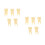 10Pcs Compact Beige Resin Tooth Model Toy for Educational Use 9