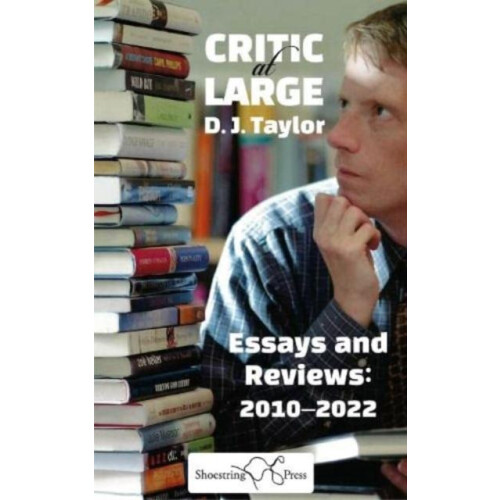 Critic at Large by DJ Taylor Paperback Book