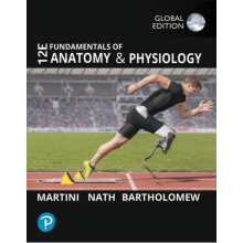 Fundamentals of Anatomy and Physiology Global Edition by Edwin Barthol