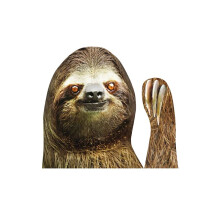 (Sloth,Right)Queen Of England Car Window Stickers Character Funny Decalsfor Rightleft Side