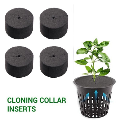 40 Pcs Garden Clone Collars Neoprene Inserts Sponge Block para 2 Polegada Net Pots Hydroponics Systems e Cloning Machines 2
