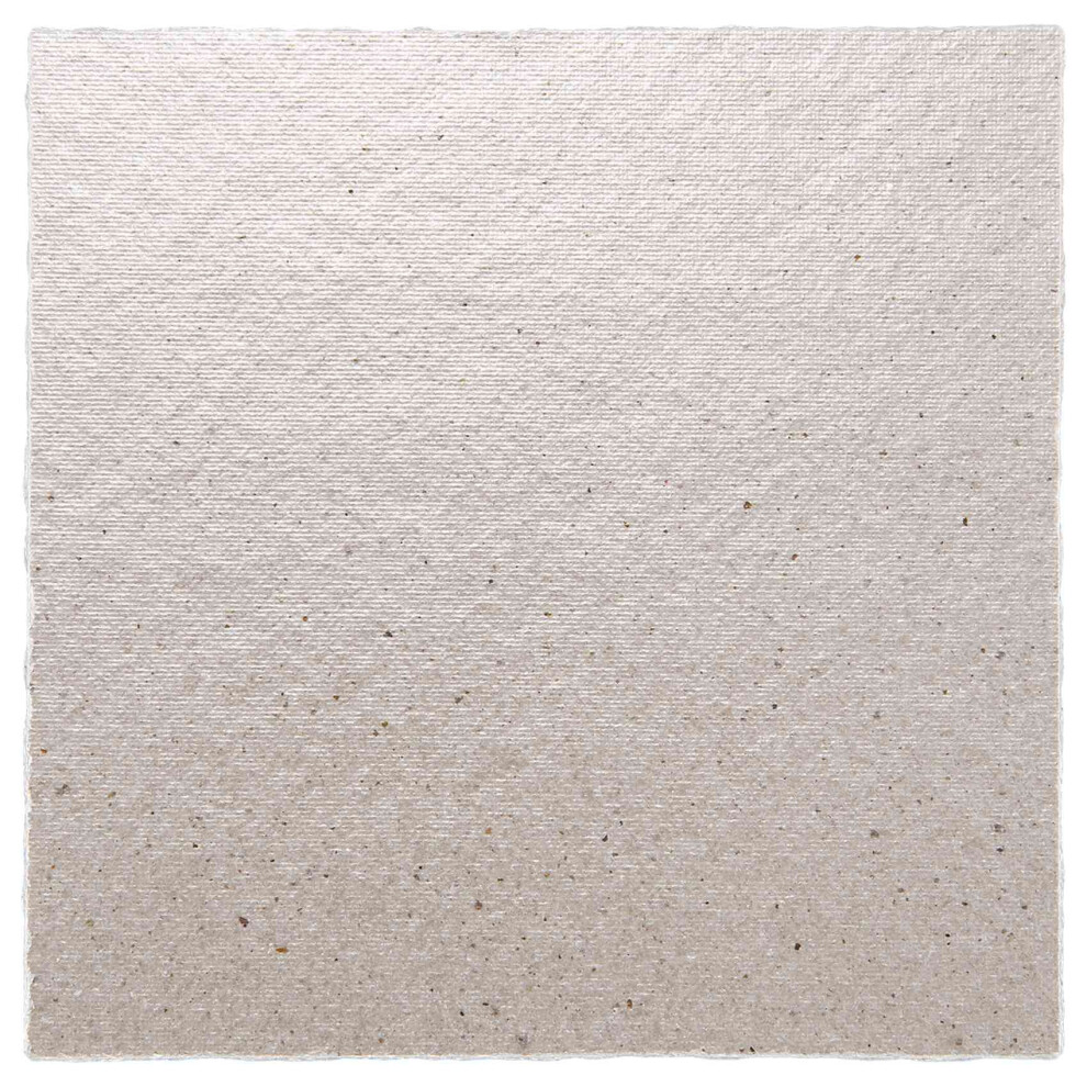 2 X Replacement 12 X 12 Cm Plate Mica For Microwave 6032877230598