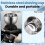 Stainless Steel Brush Shave Bowl Shave 3