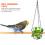 2Pcs Reusable Black Rabbit Feeders Hanging Rack for Small Animals 8
