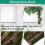 Simulation Tree Bark Home Sewer Decoration Fake Tree Bark Green Moss Wedding Decoration Grass Wall Artificial Plants-B 2
