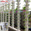 10 Sets Hydroponic Soil-Free Growing System DIY Hydroponic Nursery Garden Kit 5