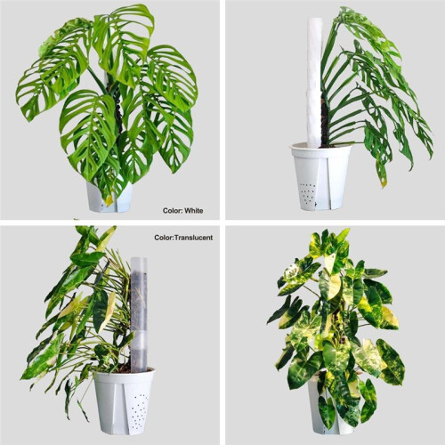 4 Pcs 17 Inch Plastic Moss Pole for Plants Monstera,Designed Specifically for Climbing Plants, Stackable Plant Support 2