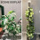 4 Pcs 17 Inch Plastic Moss Pole for Plants Monstera,Designed Specifically for Climbing Plants, Stackable Plant Support 6