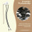 Ceiling Fan Light  Zing Ear ZE-109 Two-Wire Light  with Pull Cords for Ceiling Light Fans Lamps 2Pcs Bronze 10