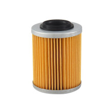 Filtro de Aceite Apto para Odes LZ800 RM800 800 ATV UTV Liangzi SIDE BY SIDE Dominator Raider Assailant ENGINE 21040111601