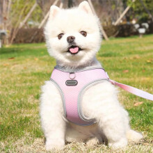 Escape Proof Cat Harness and Leash Set Adjustable Mesh Dog Harness Vest Puppy Pet Walking Lead Leash(B), S
