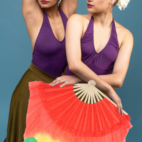 2Pcs Multi-Colored Belly Dance Silk Fan Veils for Dance Decoration 2