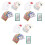 324Pcs Thick Durable Sight Word Flash Cards Cognitive Toy 3